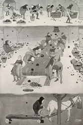 Tamisage et cueillette, c.1930